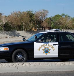 CHP on Max Tonight and Tomorrow!