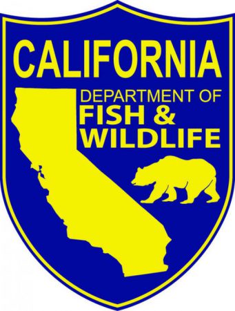 Fish and wildlife
