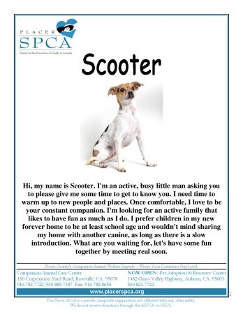 Scooter