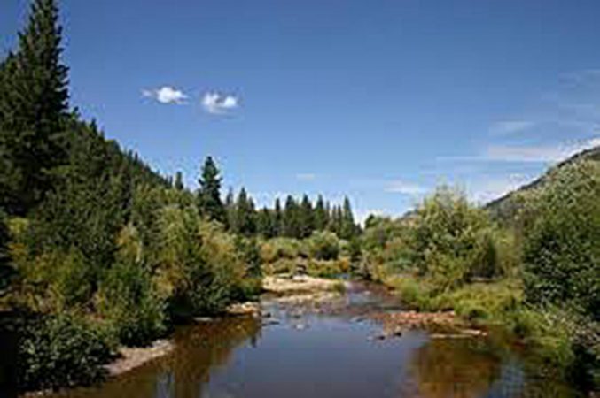 Truckee River Flow