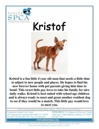 Kristof