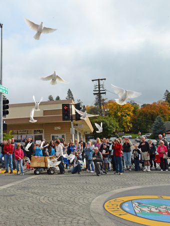 Veterans Parade 3