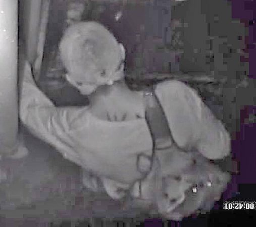 Burglary suspect poto Nov 11 2014