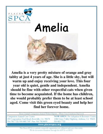 Amelia