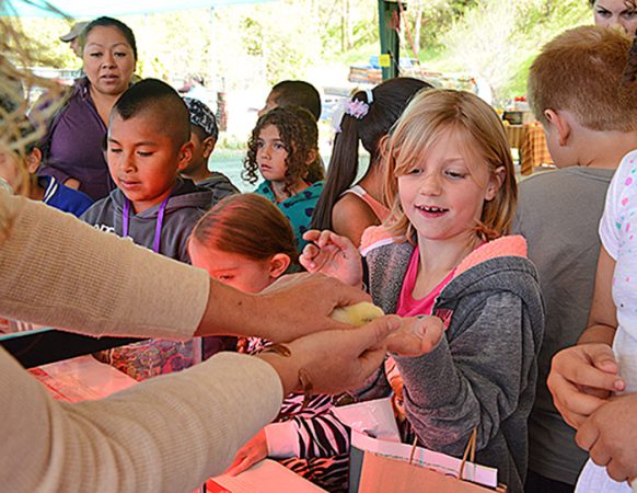 Placer County Ag Day 10