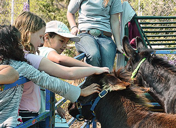 Placer County Ag Day 15