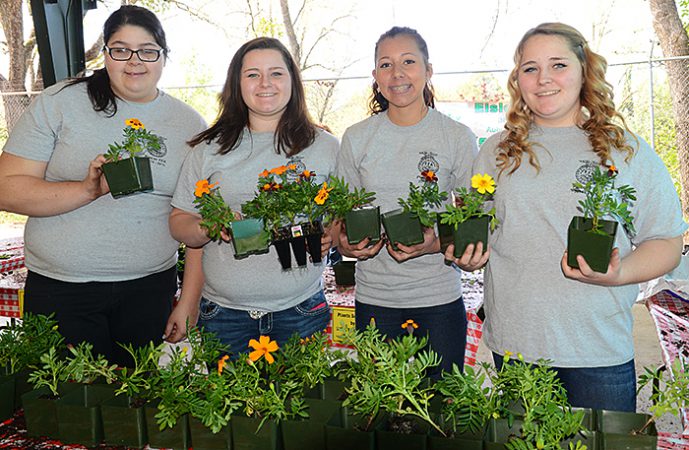 Placer County Ag Day 22