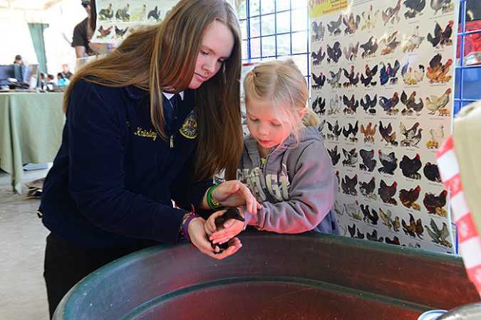 Placer County Ag Day 25
