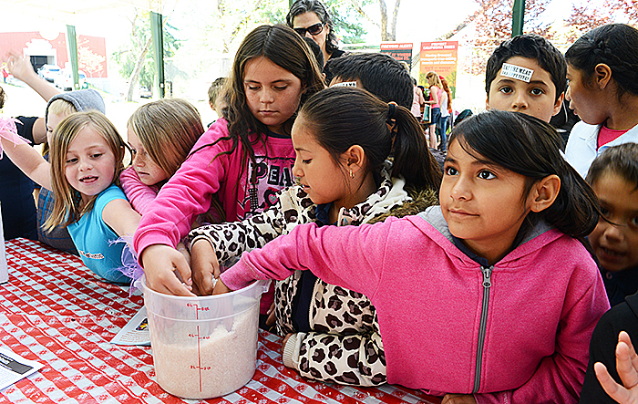 Placer County Ag Day 5