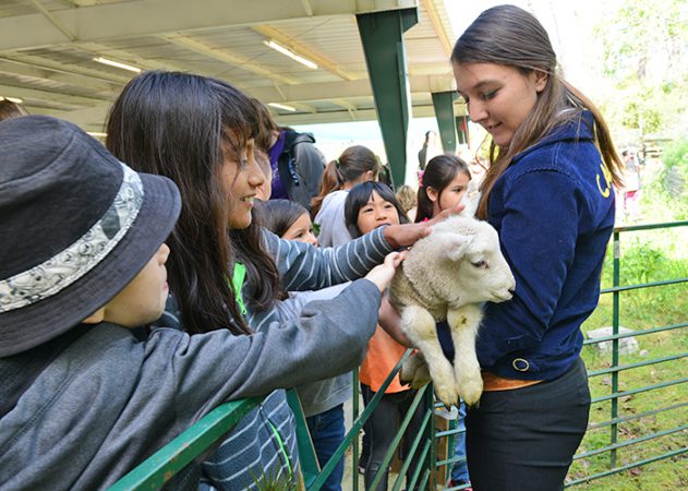 Placer County Ag Day 6