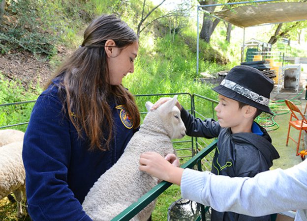 Placer County Ag Day 7
