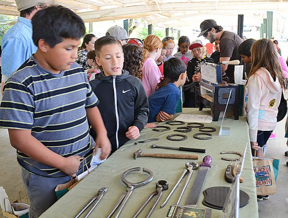 Placer County Ag Day 8
