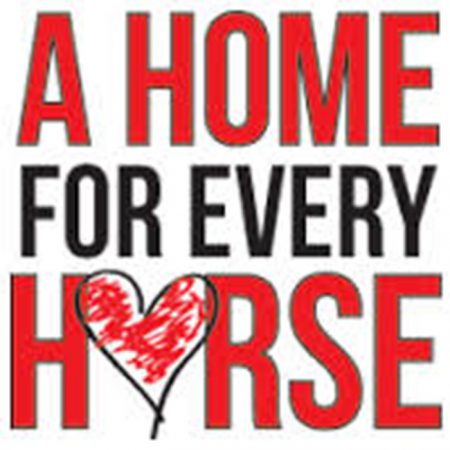 horse rescue 1