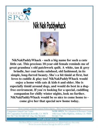Nik Nak Paddywhack