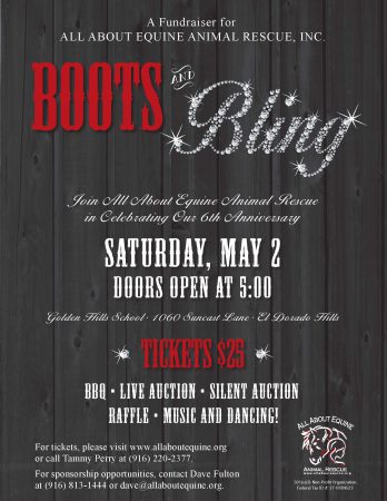 bootsandbling_poster_2015 (1) (1) (2)