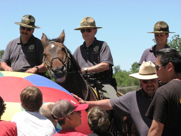 horse ball kids