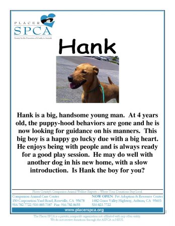 Hank