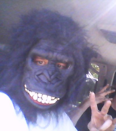 gorilla
