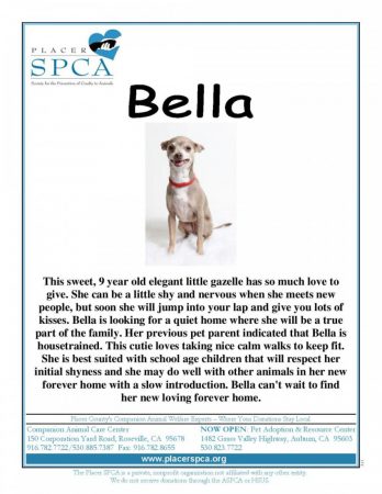 Bella