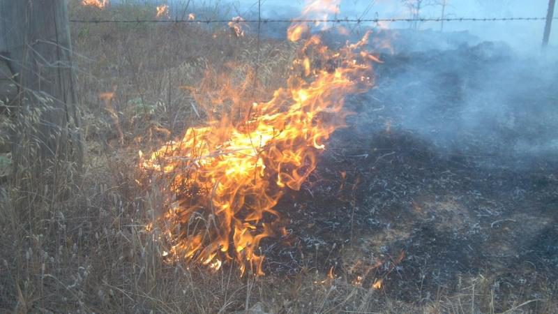 fire image