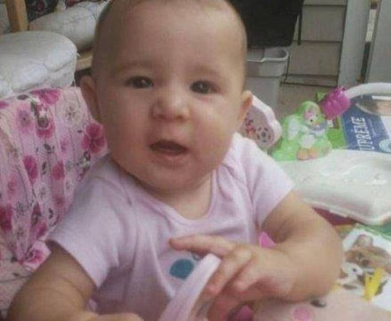 shastababy