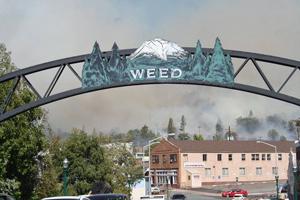 weed, city fire
