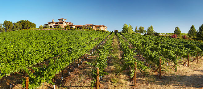 winery wise villa lincoln