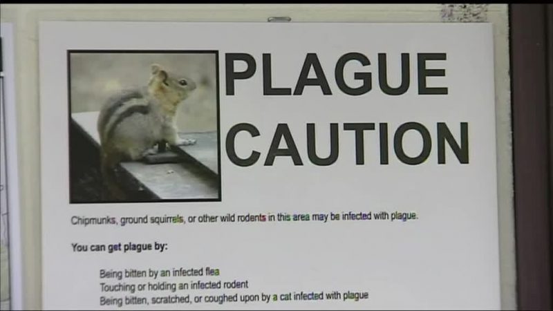 Plague-in-Yosemite