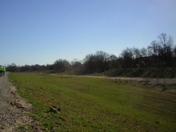 drycreekleveeroseville