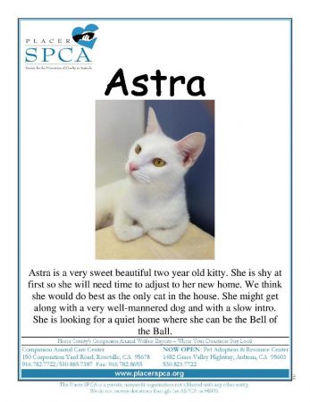 Astra