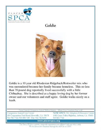 Goldie