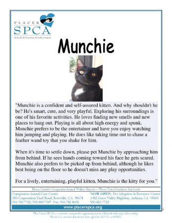 Munchie
