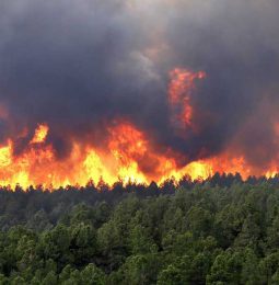 Wild Fire Season is here!