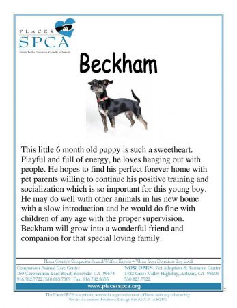 Beckham