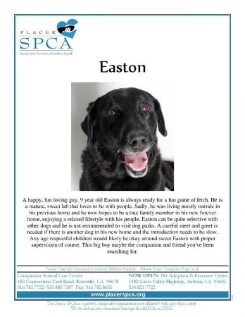 Easton