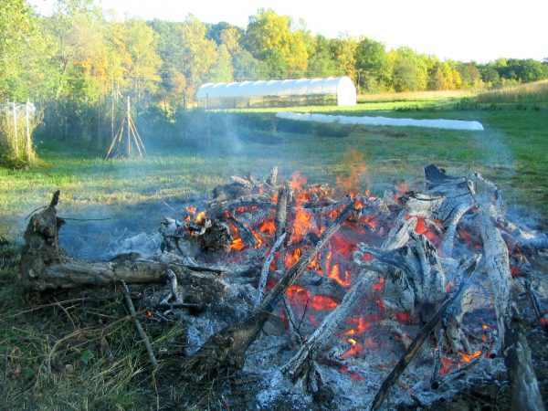 burn pile