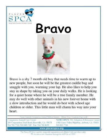 Bravo