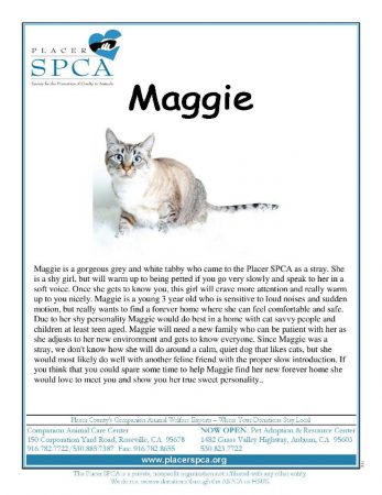 Maggie