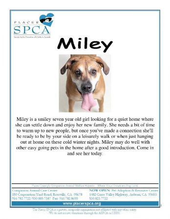 Miiley