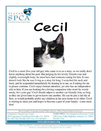 cecil
