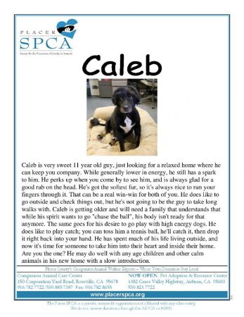 Caleb