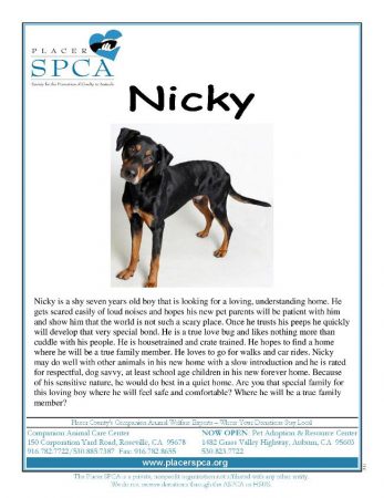 Nicky