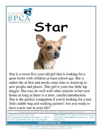 Star