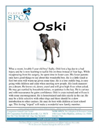 Oski