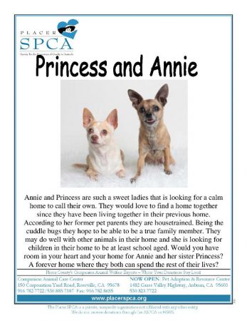 Princess and Annie