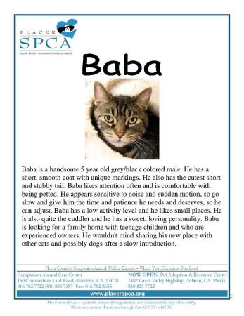 Baba