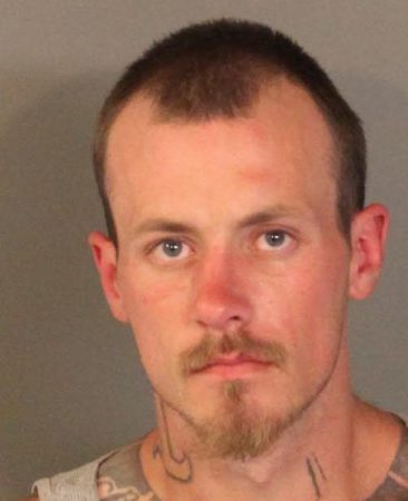 Booking pic Mullins