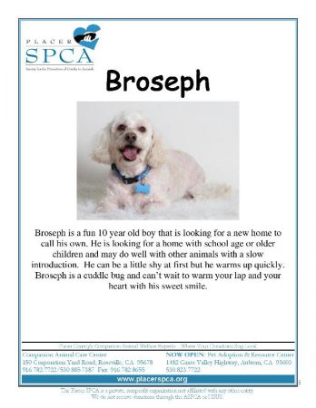 Broseph