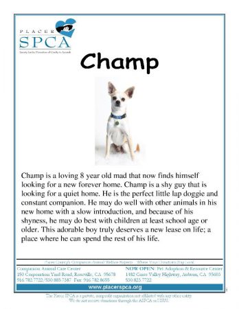 Champ