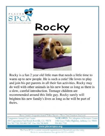 Rocky